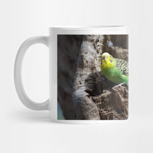 Budgie In Nest Hole Mug